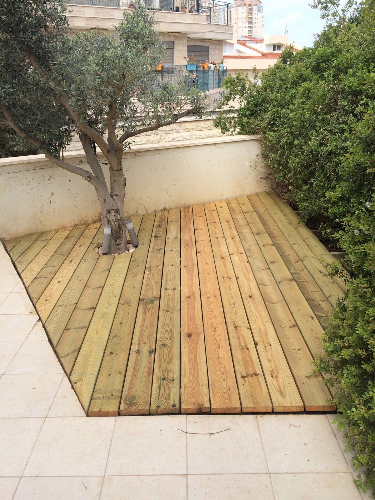 Wooden deck around an olive tree in a small private garden